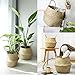 VNCraft Foldable Large Seagrass Belly Basket with Handles for Storage, Nursery Laundry Tote Beach Bag Plant Pots Cover Indoor Decorative