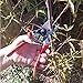 UPZHIJI Pruning Shears, Professional Tree Trimmers Secateurs,Hand Pruner, Garden Shears,Clippers for The Garden.thumb 4