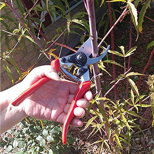 UPZHIJI Pruning Shears, Professional Tree Trimmers Secateurs,Hand Pruner, Garden Shears,Clippers for The Garden.
