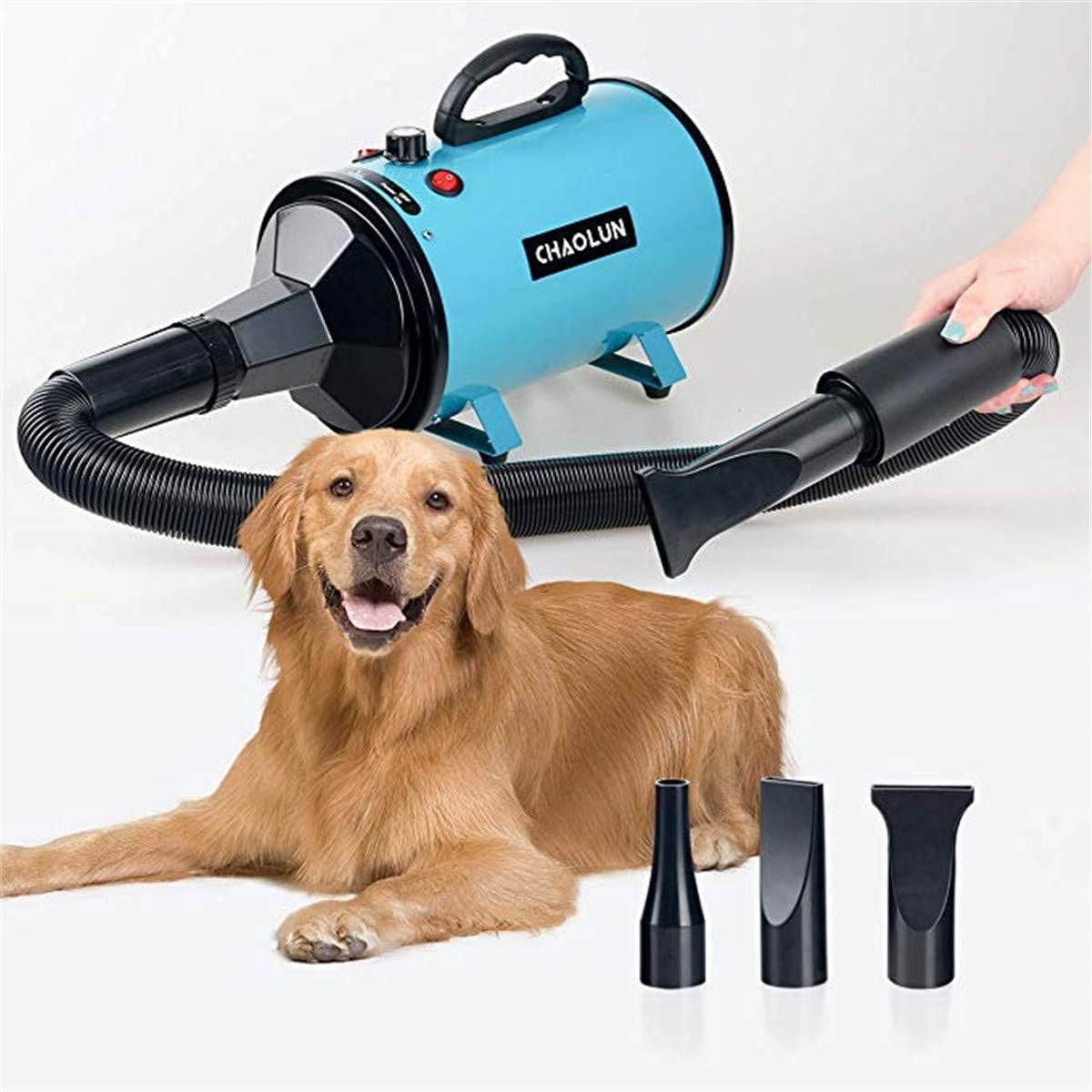 royal canin small dog mature