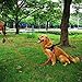 Dog Leash 6ft Long Traffic Padded Two Handle Heavy Duty Double Handles Lead for Training Control 2 Handle Leashes for Large Dogs or Medium Dogs Reflective Pet Leash Dual Handle Red
