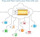 SunData 16GB USB Flash Drive 2 Pack USB 2.0 Memory Stick Black Gold view 5