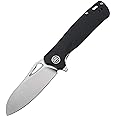 Petrified fish PF868 Bunta,3.35" D2 Satin Blade,146g G10 Handle Flipper Folding knife (Black G10, Satin)