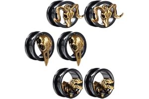 COOEAR Gauges Ears Plugs and Tunnels Black Screw Back Earrings Upgrade Piercing 1 Pair Gift Packing Stretchers 2g to 1 Inch.