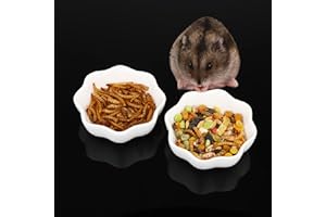 DQITJ 2 Pcs Ceramic Hamster Bowl, Small Animal Anti-Turnover Food Bowl and Water Dish Feeder for Dwarf Hamster Mouse Chinchilla Rat Gerbil (White)