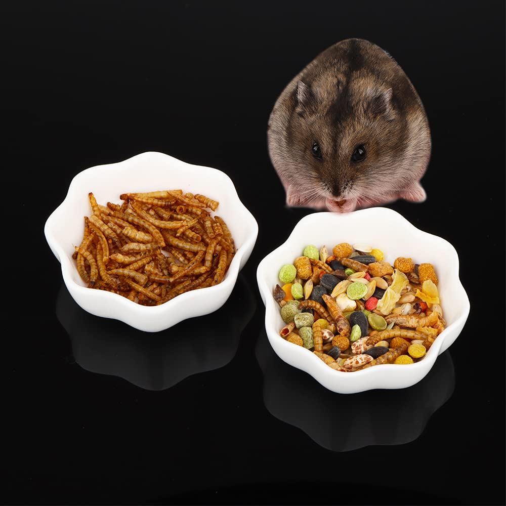 Photo 1 of 2 Pcs Ceramic Hamster Bowl, Small Animal Anti-Turnover Food Bowl and Water Dish Feeder for Dwarf Hamster Mouse Chinchilla Rat Gerbil (White)