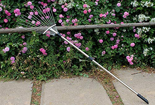 Old Tjikko Garden Leaf Rake,Grass Rake for Lawn,Adjustable Lawn Grass Rake for Grass Cleaning Fallen Leaves Weeds,34 to 63-Inch Adjustable Gardening Tools(Stainless Steel)