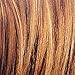 Couleur Experte Light Golden Brown, Brioche