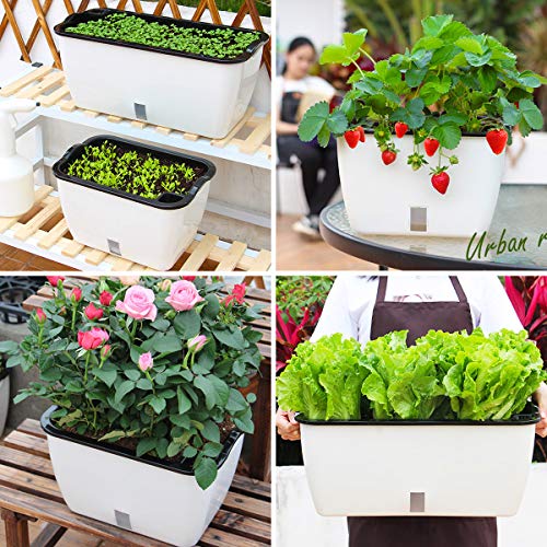 DeEFL 2 Packs ExtraLarge Self Watering Planters for Vegetables Indoor