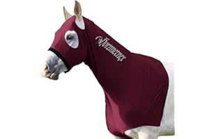 Horzmetnex Horse Stretch Hood Without Ears with Dual-Sided Reflective Letters,Safety Night Visibility,Lycra Mane Protector, Horse Hood, Mane Protection, Show Prep, Training (Burgundy, M)