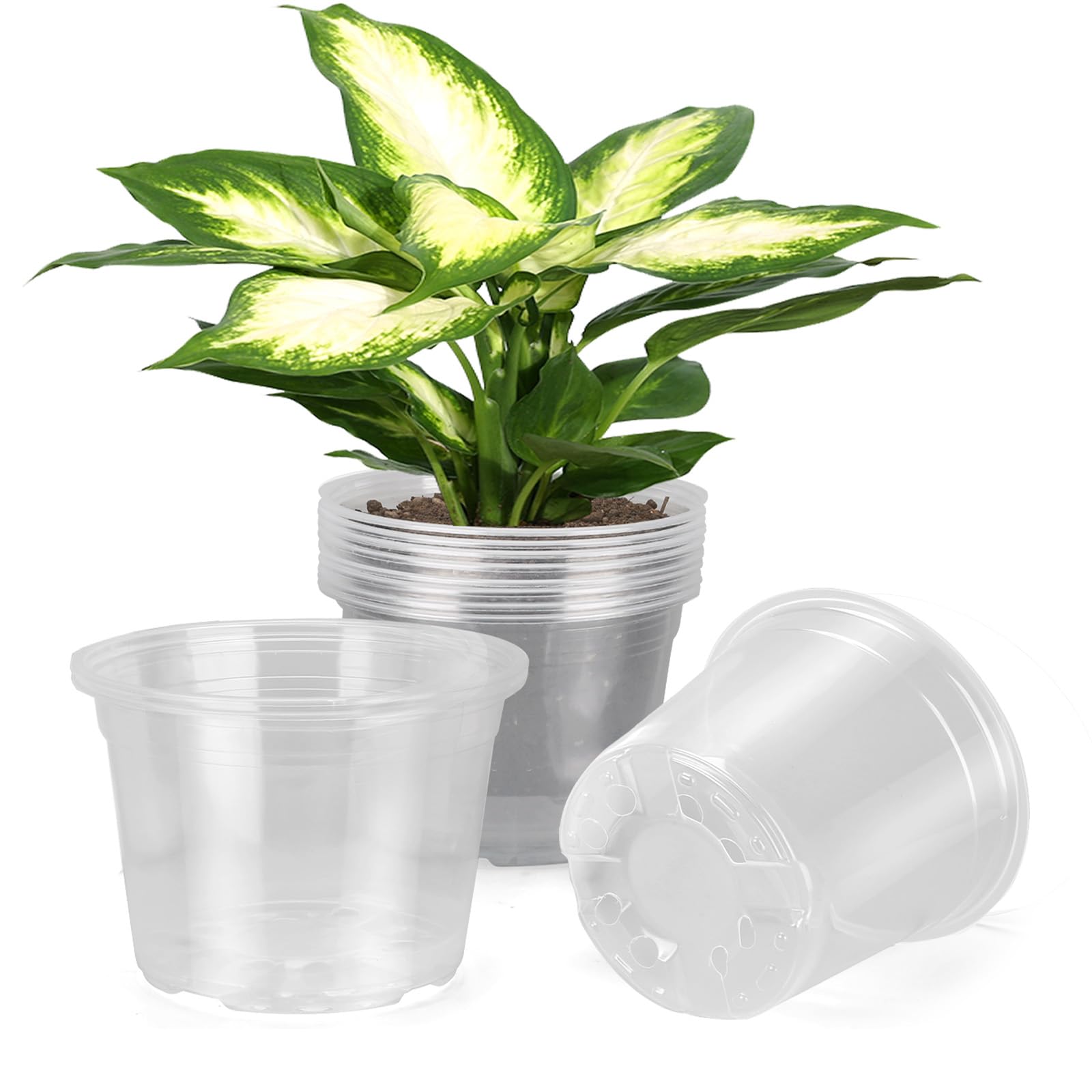 Photo 1 of DUNPUTE 8 Inch Large Clear Nursery Pots with Drainage, 10 Pack Plastic Pots for Plants, Ideal Seedling Pots and Plant Pots for Vegetables, Orchids, Aloe, Indoor Outdoor Use (8 inch-10 Pack)