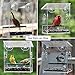 Kanaryware Window Bird Feeder - Built to Last A Lifetime - Decorate Your House with Beautiful Wild Birds - 100% Clear Acrylic - Drain Holes - Hooks & 2 Extra Suction Cups Included - Great Gift