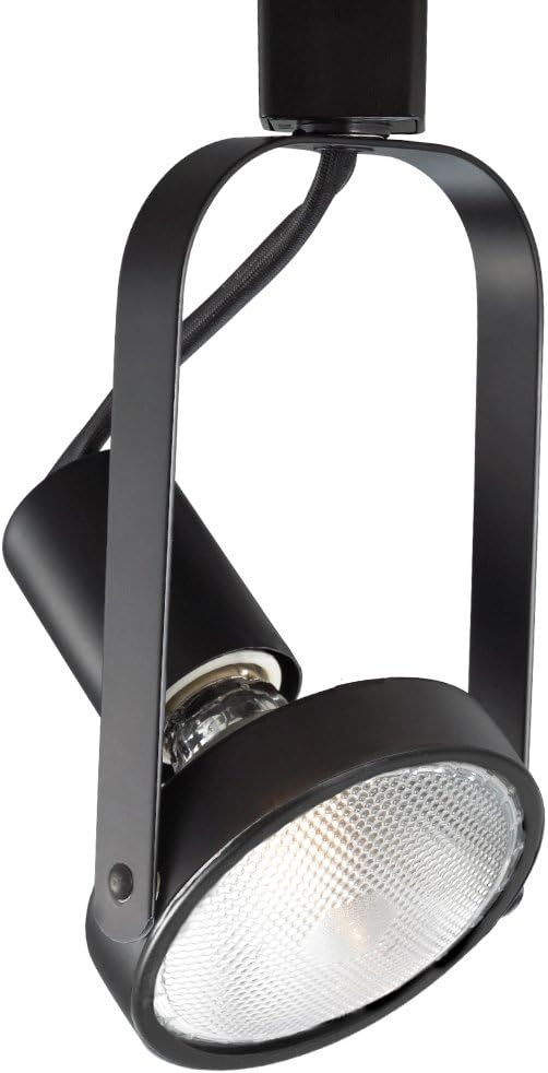 Best Wac Lighting Led Track Heads