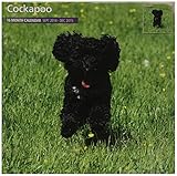 Cockapoo 2015 Wall Calendar