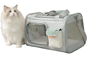 PATAZONE Puppy Carrier for Cat Expandable Bunny Small Animal Traveling Outdoor Carry Bag (Green)