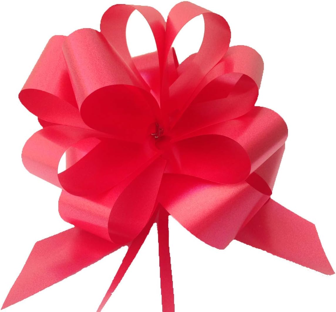 fiocco rosso per la laurea in auto