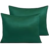 NTBAY Zippered Satin Pillow Cases for Hair and Skin, Luxury Standard Hidden Zipper Pillowcases Set of 2, 20x26 Inches, Dark Green