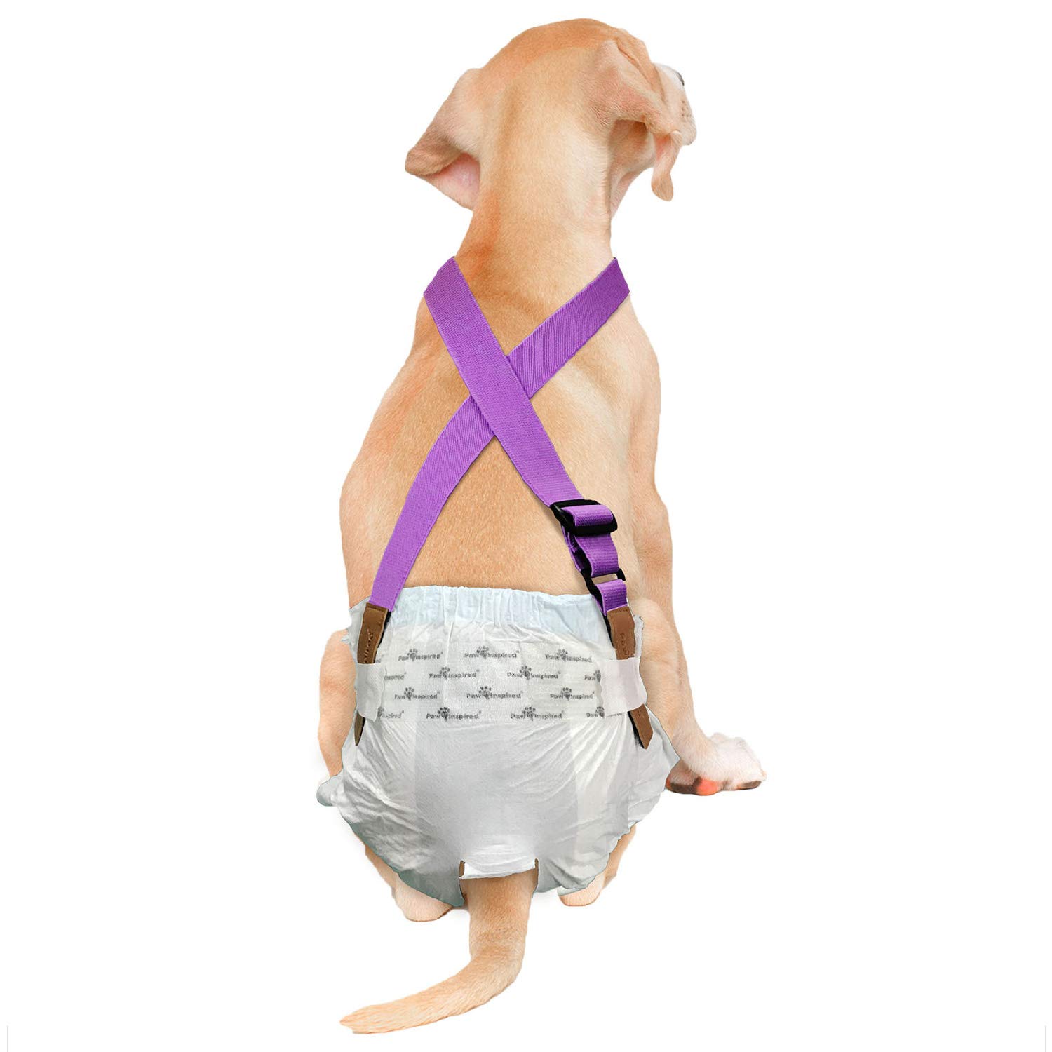 Paw Inspired Dog Diaper Suspenders | Dog Suspenders, Canine Suspenders | Dog Diaper Harness (M/L, Purple)