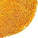 Spice Jungle Aji Amarillo Chile Powder - 16 oz.