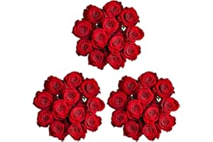 GlobalRose 3 Dozen Red Roses - Fresh Flowers Bouquet for Mother's Day, Wedding, Birthday, Anniversary, Bridal Shower, or Home Décor
