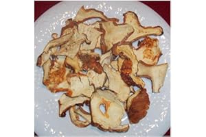 OREGON MUSHROOMS Lobster Mushrooms 4 oz