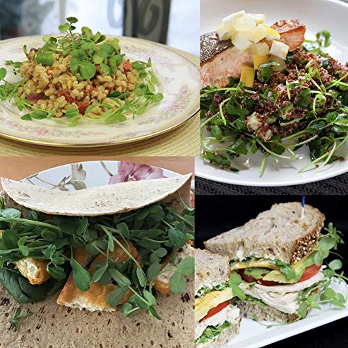 Pop Up Microgreens Kit (3 Varieties) - Just Add Water and Seed. Perfect Size, a Quick, Smart, Nutritious Meal. Includes Fiber Soil in a Bag, Radish, Sunflower, Pea Shoot Seed. Easy Grow/Delicious.
