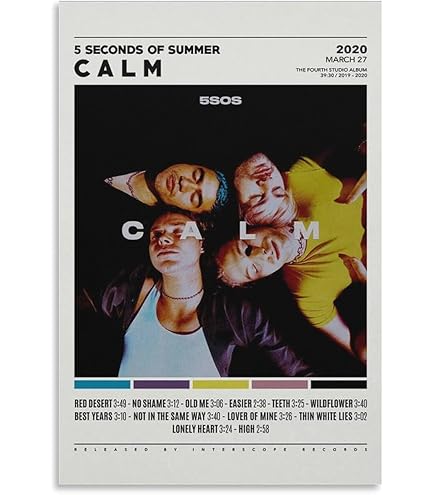 Amazon.com: 5SOS 5 Seconds of Summer poster 40 inch x 24 inch