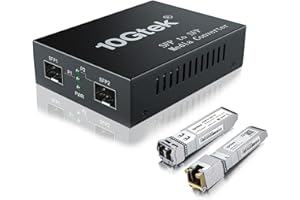 ipolex 10G SFP+ to SFP+ Fiber Media Converter, 10G OEO Converter, with SFP+ LR Module and 10GBase-T Copper Module, Backs Sing