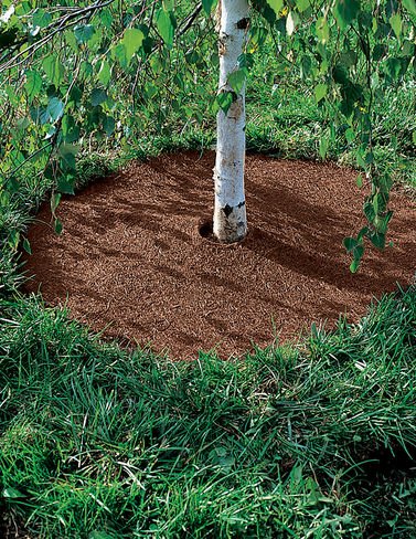 Gardener's Supply Company Tree Ring Mulch Mat | Weatherproof Coco Fiber Coir Weed Control and Root Protection for Faster Growth | 24 Inch Diameter - Set of 2