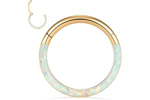 PEAKLINK 16G 18G 316L Stainless Steel CZ/OPAL Septum Piercing Septum Clicker Ring Hinged Nose Ring Daith Earrings Conch Piercing Jewelry Helix Cartilage Tragus Lobe Belly Hoop Earring