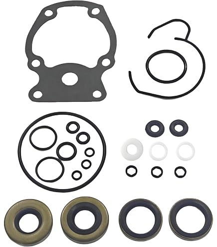 Johnson Evinrude 18-20 OMC Pre-1978 Gearcase Lower Unit Housing Seal Kit 304764
