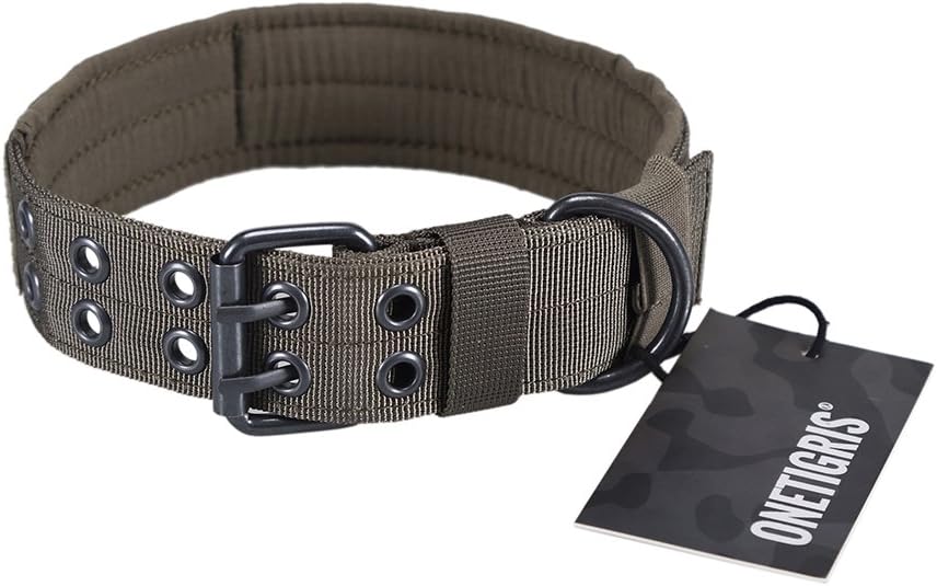 613N QI87hL. AC SL1001