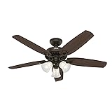 Hunter Fan Company Hunter 53238 Transitional