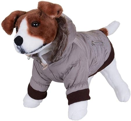 dog parka with hood