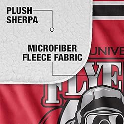 Lewis University Primary Logo Stripes Sherpa