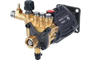 Canpump CH 2830 G: 2800 psi @ 3 US gpm Pressure Washer Replacement Pump, 3/4-inch Horizontal Gas Shaft