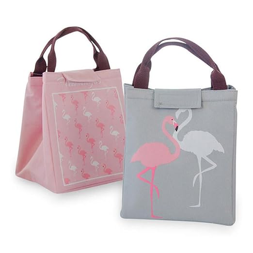 VLUNT Bolsa Isotermica de Almuerzo Nevera para Alimentos Frutas ...