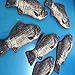 MorningRising Carp Fish-like Zipper Pouch Weird Pen Pencil Case Makeup Case/ Bag