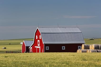 Amazon Com Bright Red Barn With Round Hay Bales In Green Grain