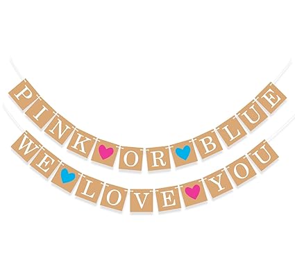 Sterling James Co Gender Reveal Party Baby Shower Decorations Pink Or Blue Banner Pregnancy Announcement