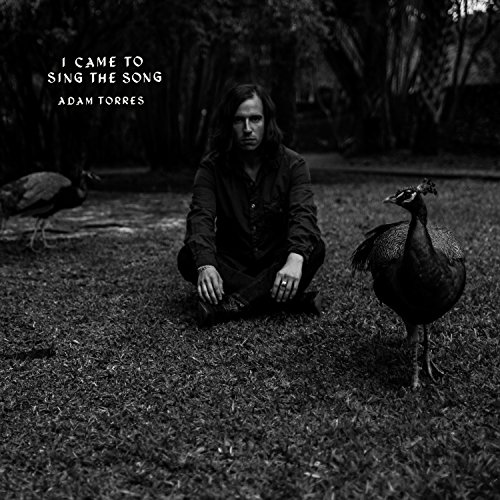 Album Art for I Came To Sing The Song by Adam Torres