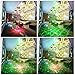 Party Lights, Disco Lights, GOOLIGHT DJ Light Sound Activated Strobe Light Projector Party Light Effects with Remote Control for Home Room Dance Birthday Bar Karaoke Holiday Christmas Wedding Parties
