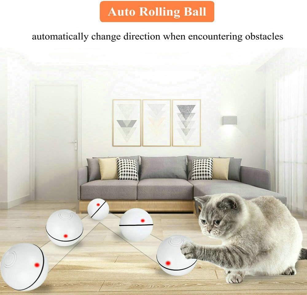 Pakoo Interactive Cat Toys Ball, Smart Automatic Rolling Kitten Toys, USB Rechargeable Motion Ball + Spinning Led Light with Timer Function, The Best Entertainment Exercise Gift for Your Kitty : Kitchen & Dining
