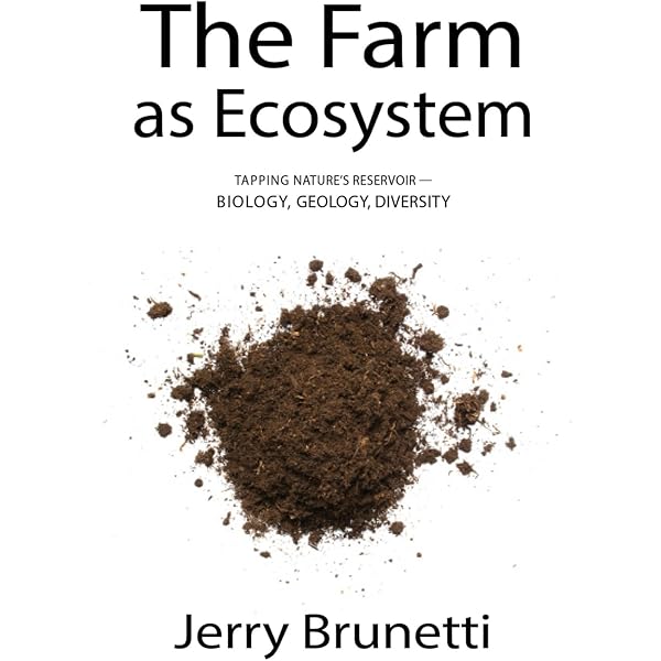 アート・デザイン・音楽 Design for Human Ecosystems アート・デザイン・音楽 Design for Human Ecosystems Amazon