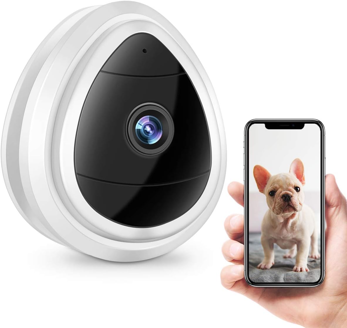 puppy surveillance camera