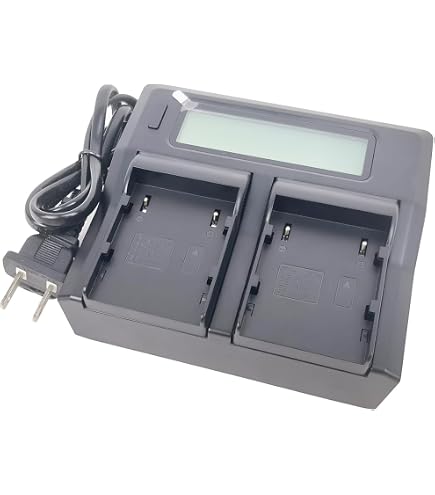 Amazon.com : Canon CG-A10 Dual Battery Charger for EOS C300 MK II