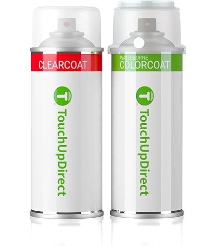 Amazon.com: 458 Metallic Phantom Silver Touch-Up Paint Aerosol for