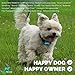 Bark Collar by DogTECH: No Shock Humane Training Collar, Sound and Vibration Control, Stop Barking in Style, Comfortable Adjustable Size for All Breeds, Intelligent Microprocessor and Extra Batteries