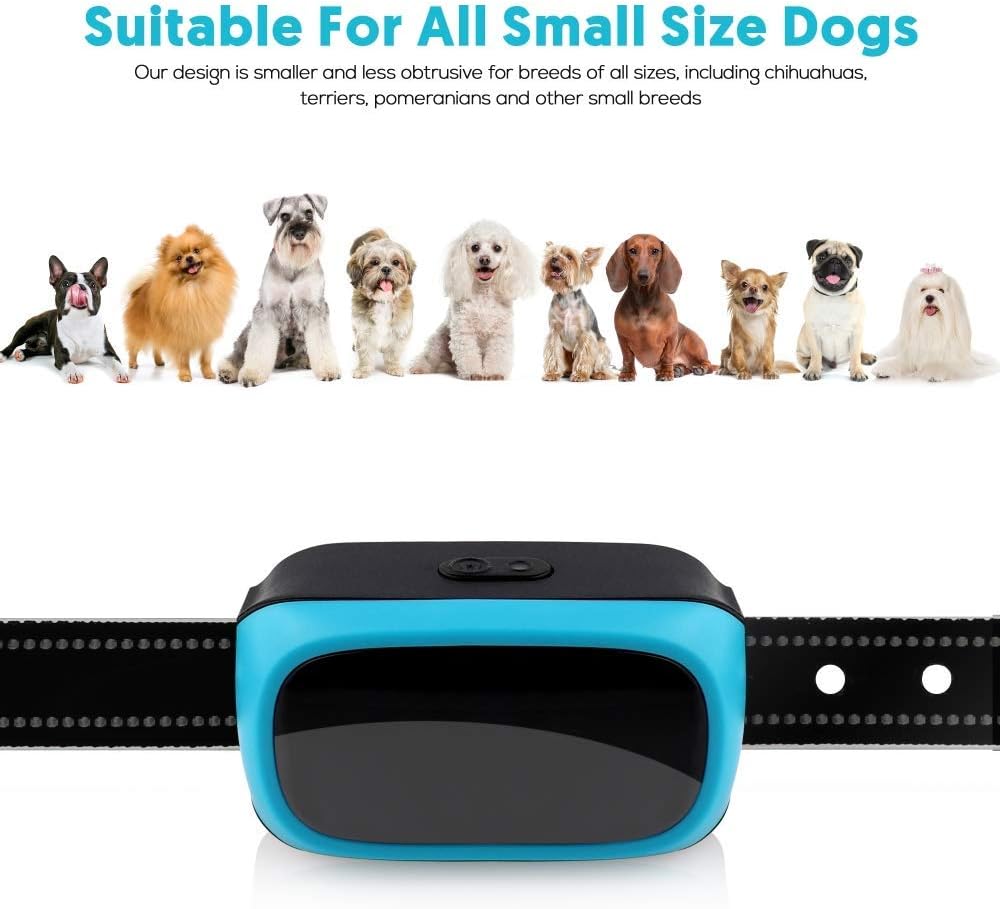 shock collar for 10 pound dog