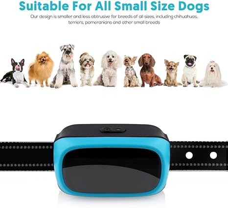 training collar for dogs under 10 pounds